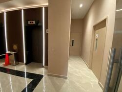 Mount Elizabeth Link (D9), Condominium #497013771